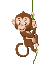 monkey